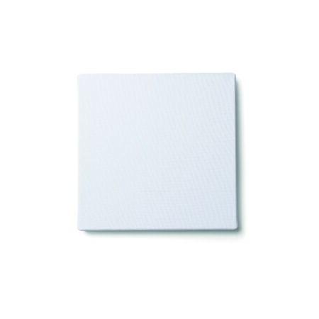 CANVAS ASTRONAVTA